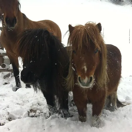 Vakantieboerderij Ahlhof *