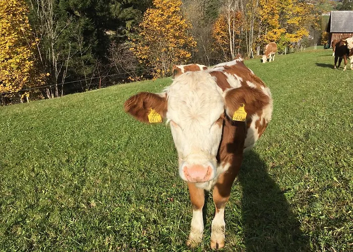 Farmház Ahlhof Schladming